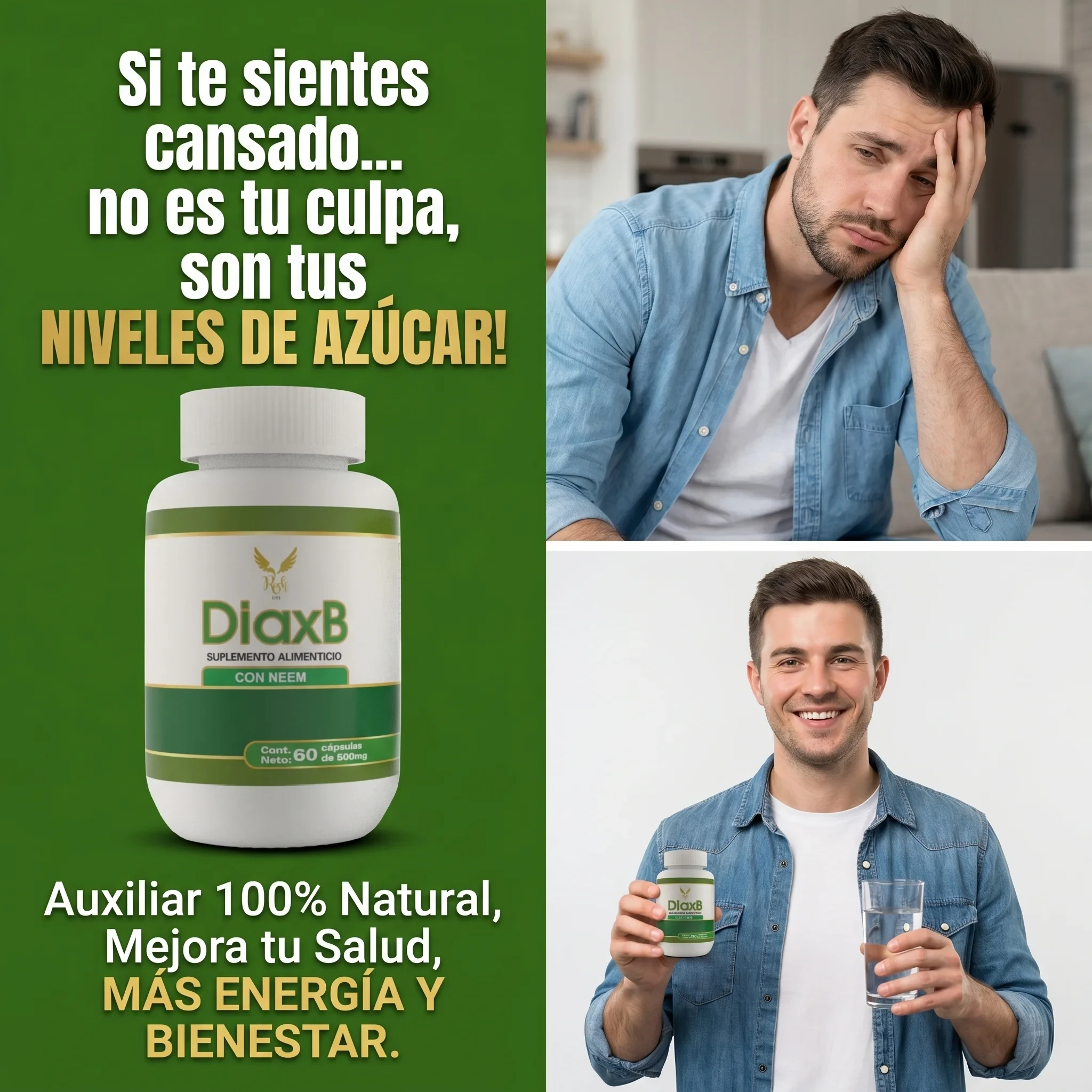 DiaxB - Imagen 5