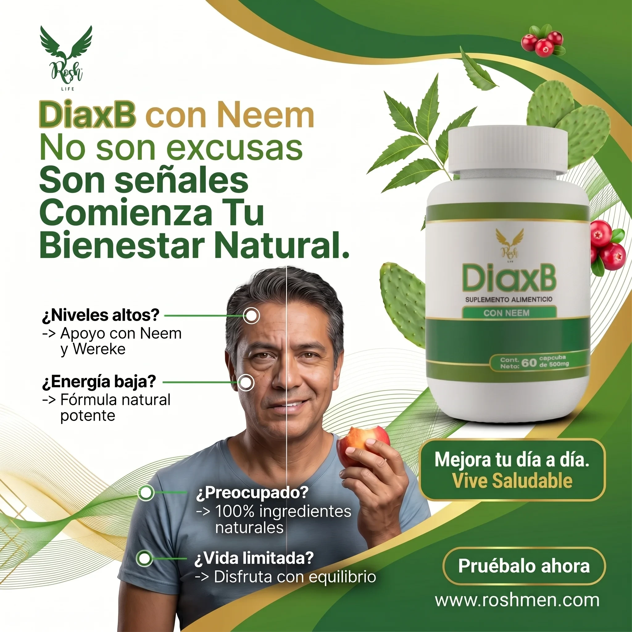 DiaxB - Imagen 9