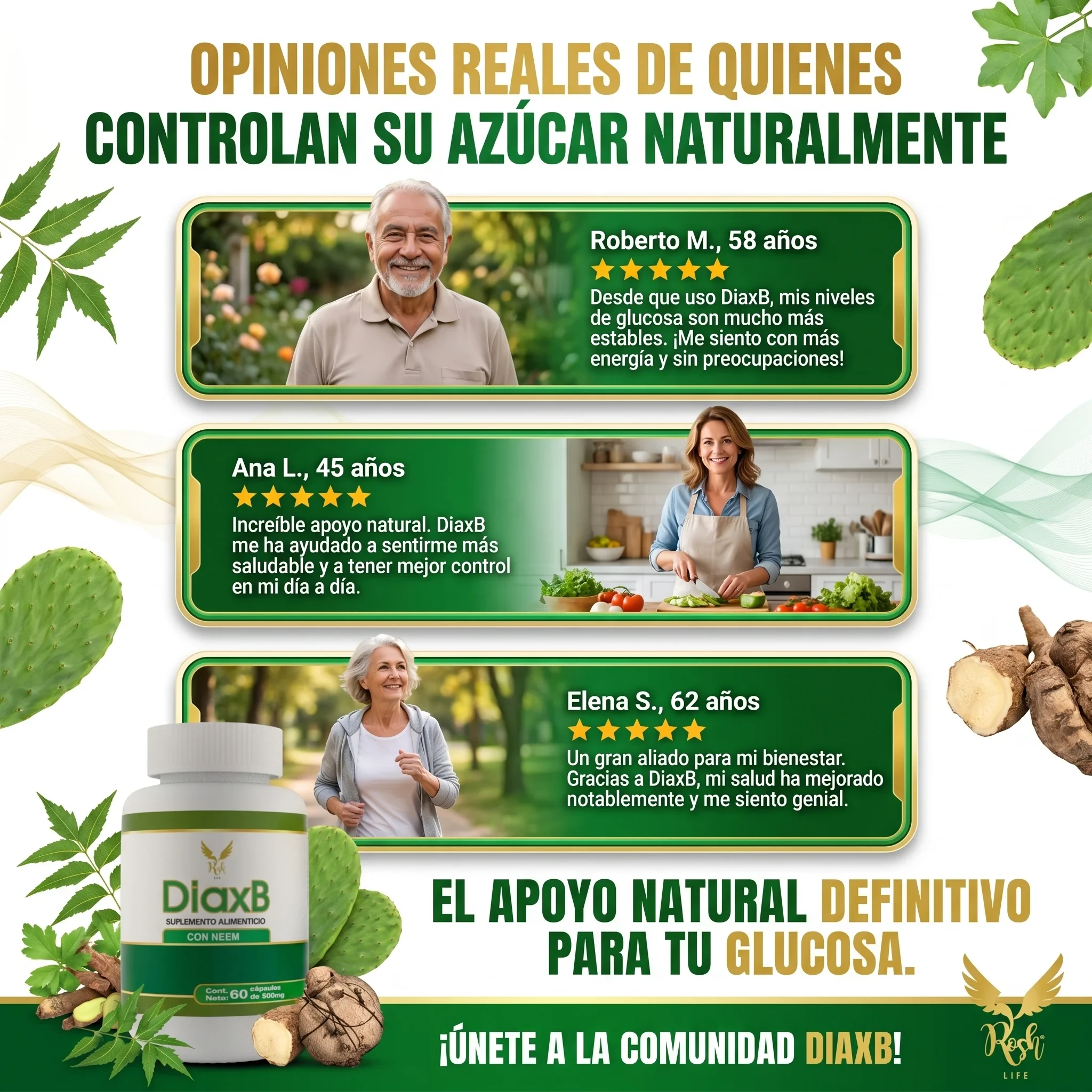 DiaxB - Imagen 10