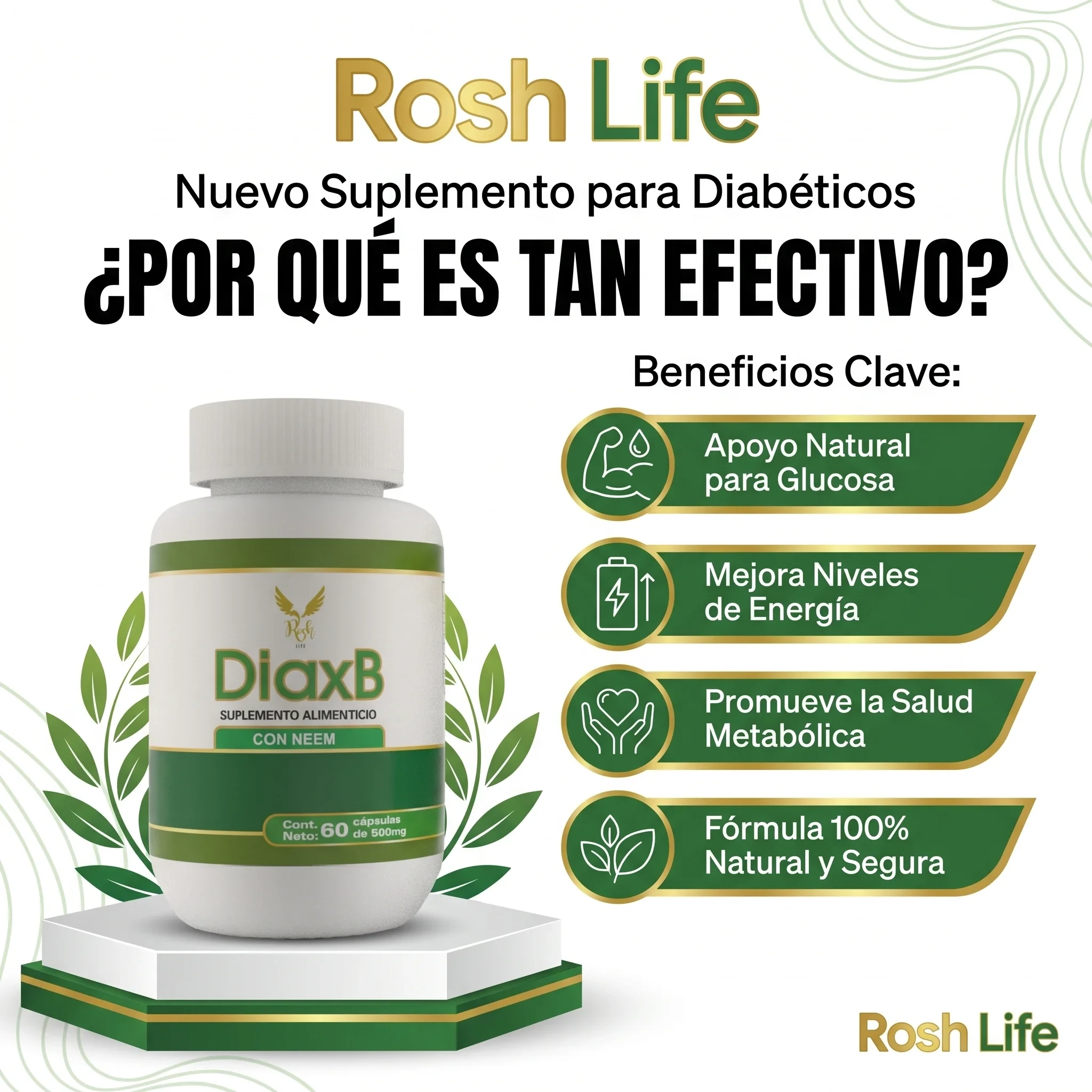 DiaxB - Imagen 6